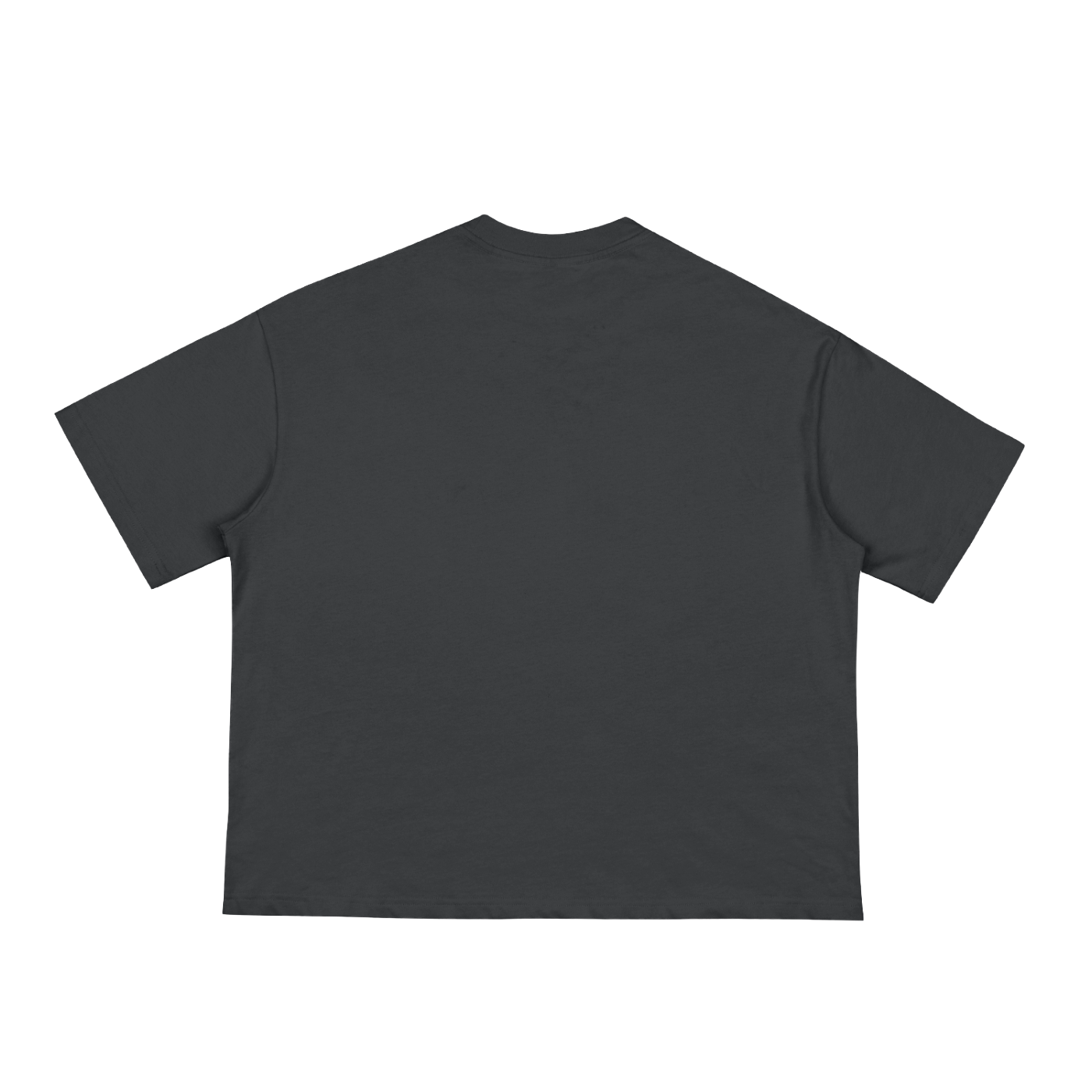 Unisex Anime Classic Loose Boxy Tee 0001