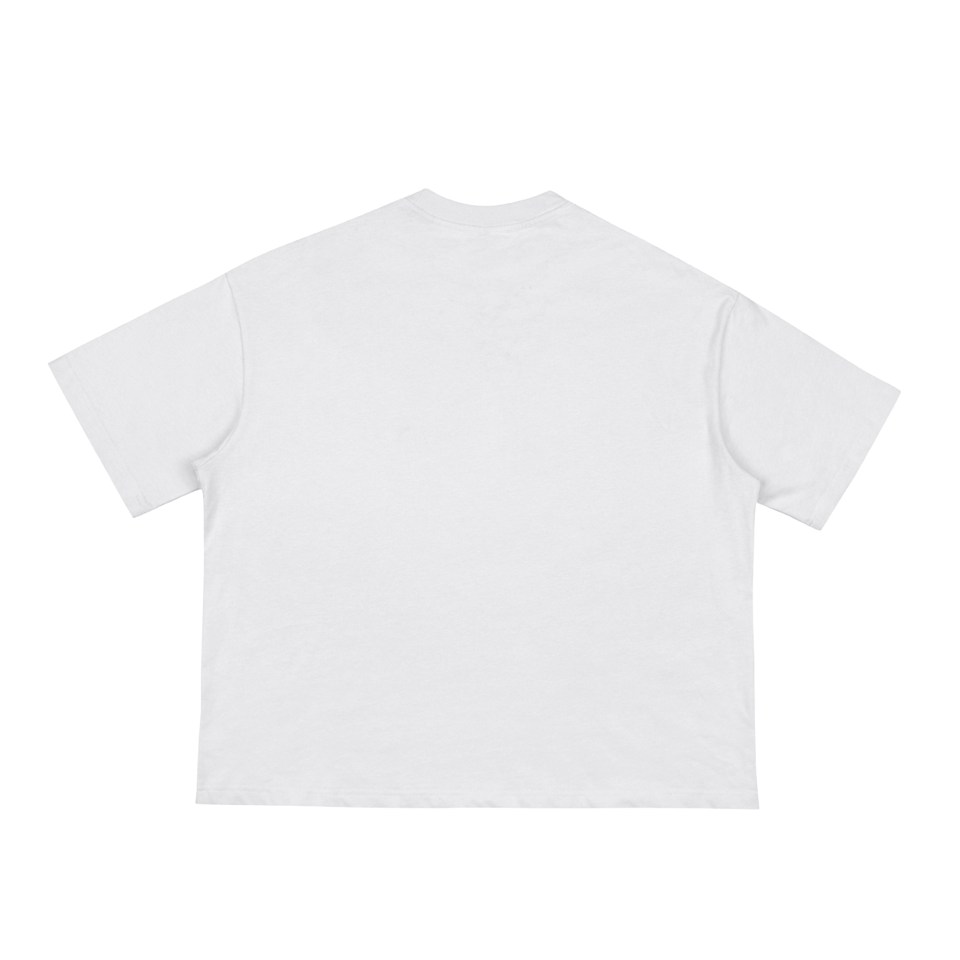 Unisex Anime Classic Loose Boxy Tee 0008