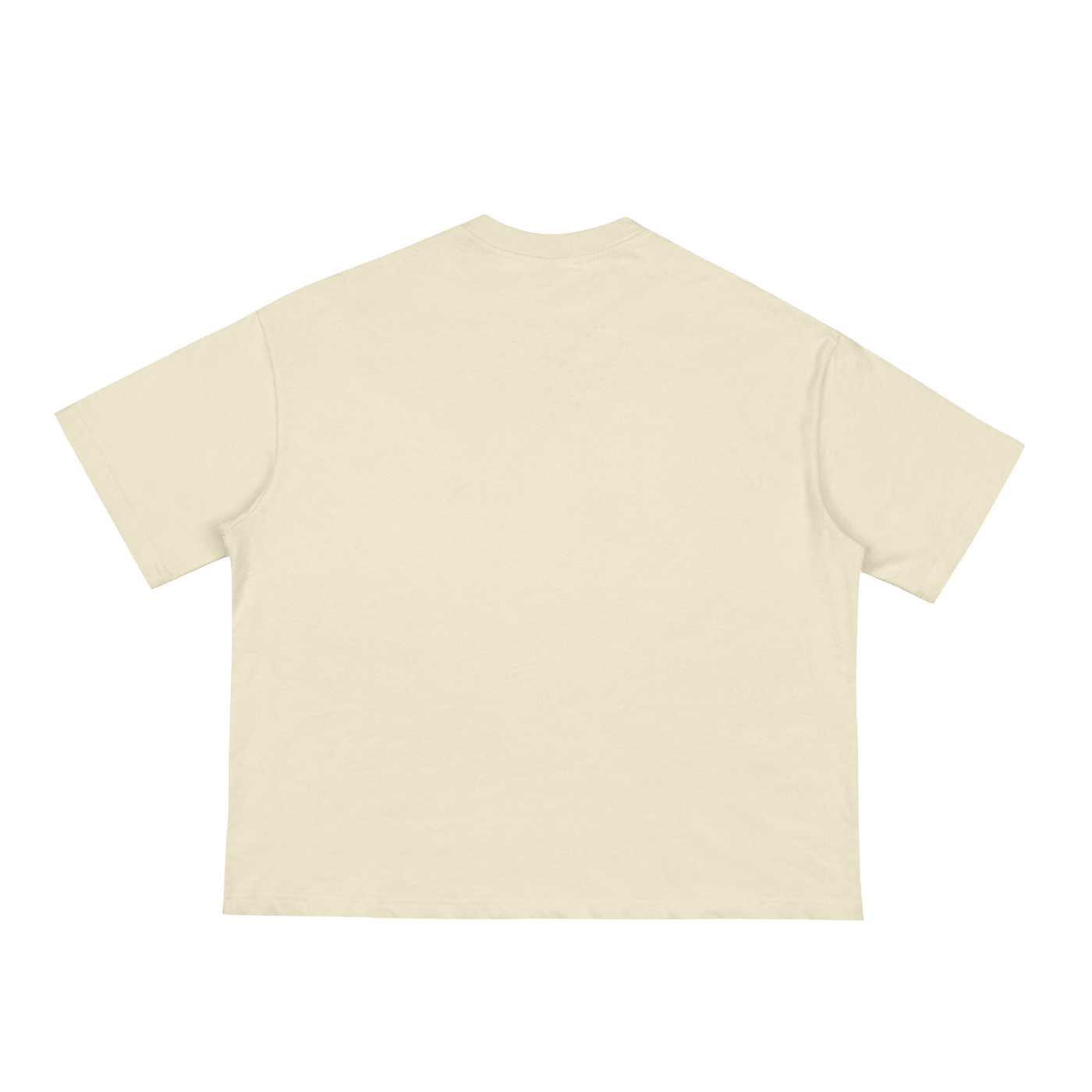Unisex Anime Classic Loose Boxy Tee 0006