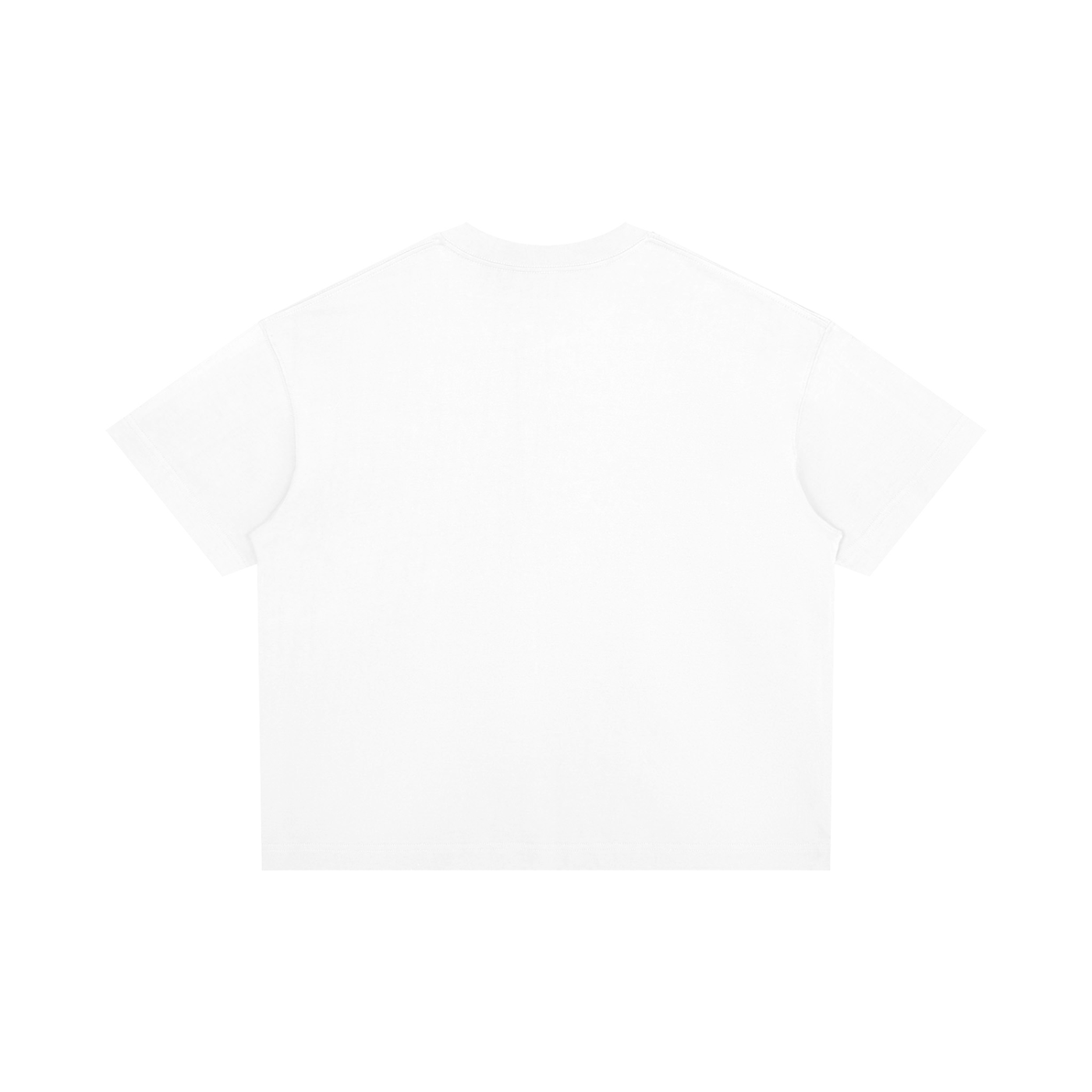 Unisex Qoute Boxy Drop Shoulder T-Shirt I CAN'T CRY ABOUT HAVING A LOT ON MY PLATE WHEN MY GOAL WAS TO EAT